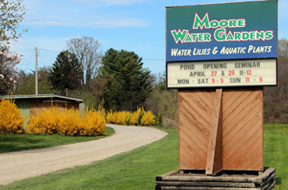 Moore Water Gardens